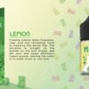 MR.Q 小熊軟糖系列 煙油 30ml (30-50mg)