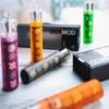 DOTMOD Revo 佩特里 空倉